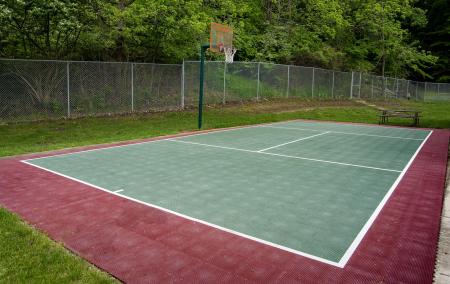 Multi-sport Court